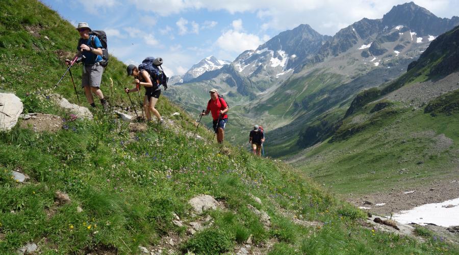 Alps Trekking through meadows