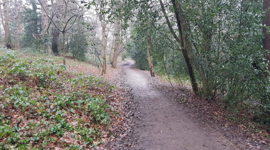 Oxleas Wood Trail