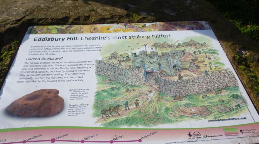 Delamere Forest and the Sandstone Trail 2024 OutdoorLads