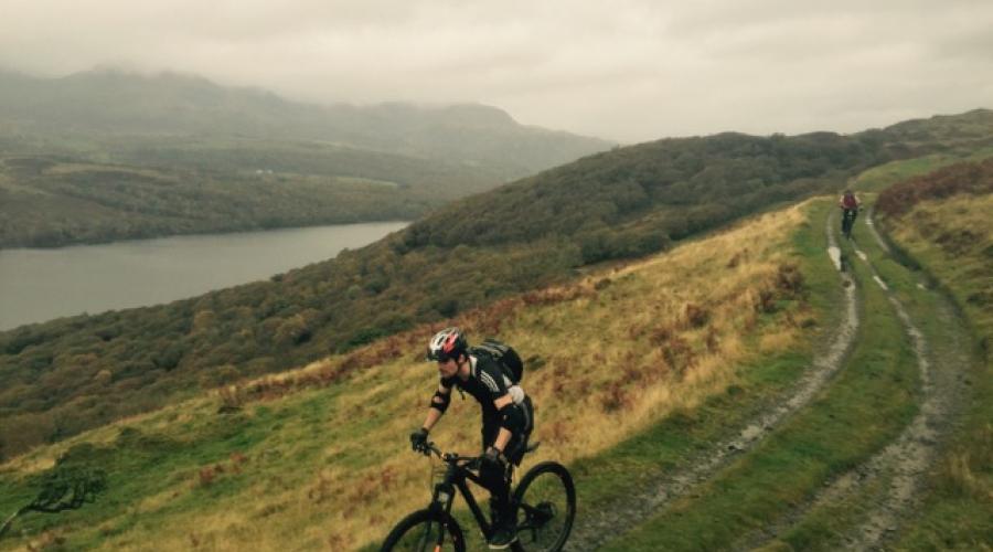 grizedale