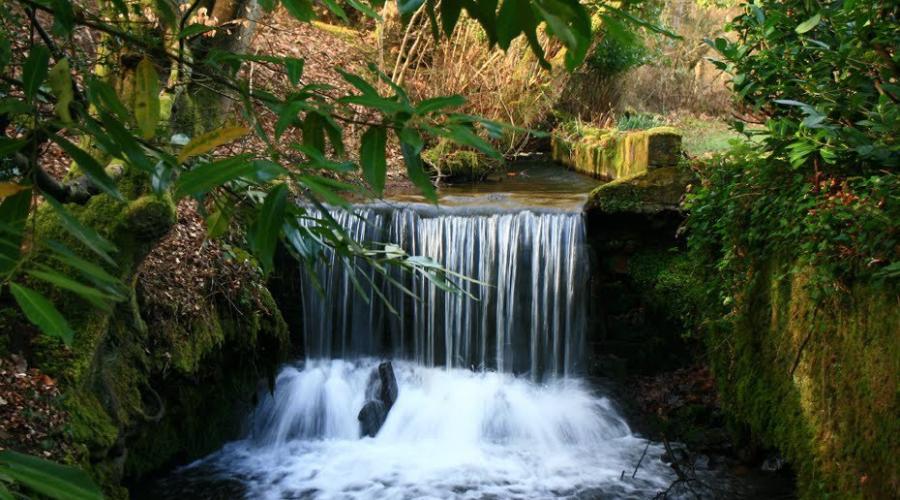 Waterfall at Holford Combe