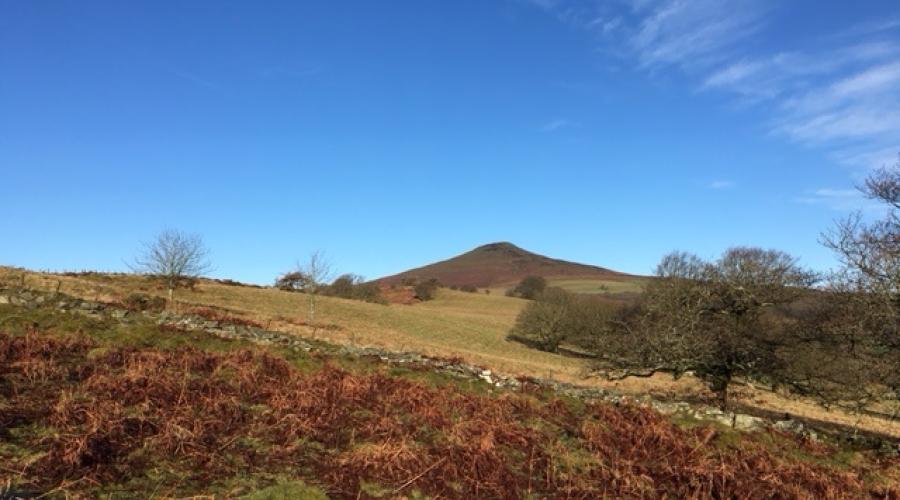 Sugar Loaf