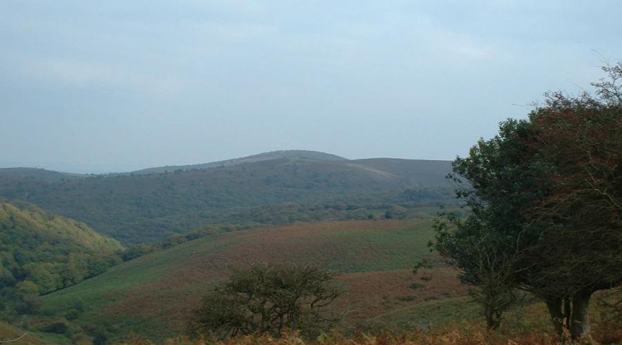 View from Quantocks