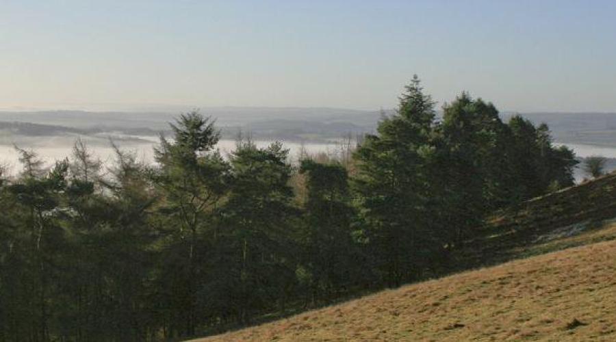 Quantocks in Spring