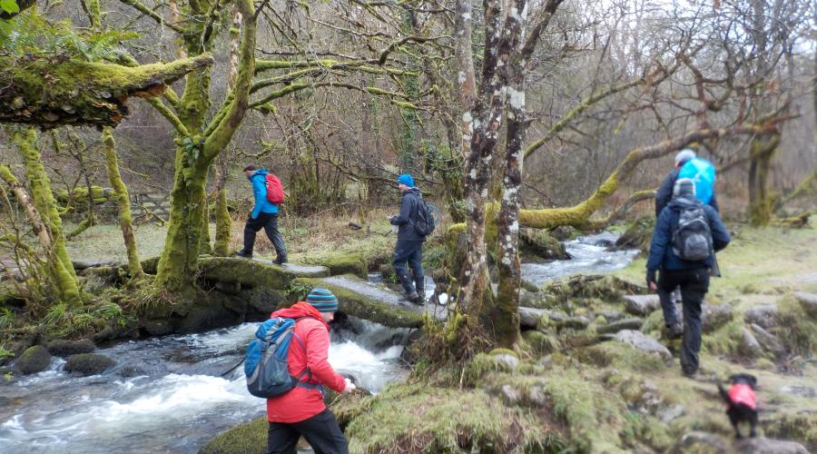 Dartmoor rivers PFR