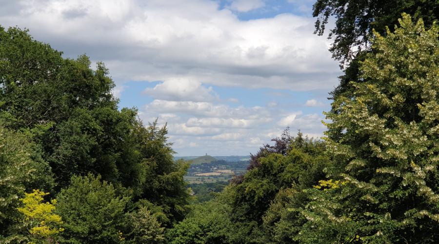 View from Admiral Hood Monument looking out towards Glastonbury Tor