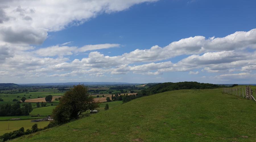 Gilling Down section of Polden Way