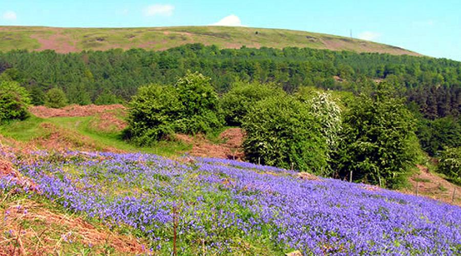 Upper Cwmbran