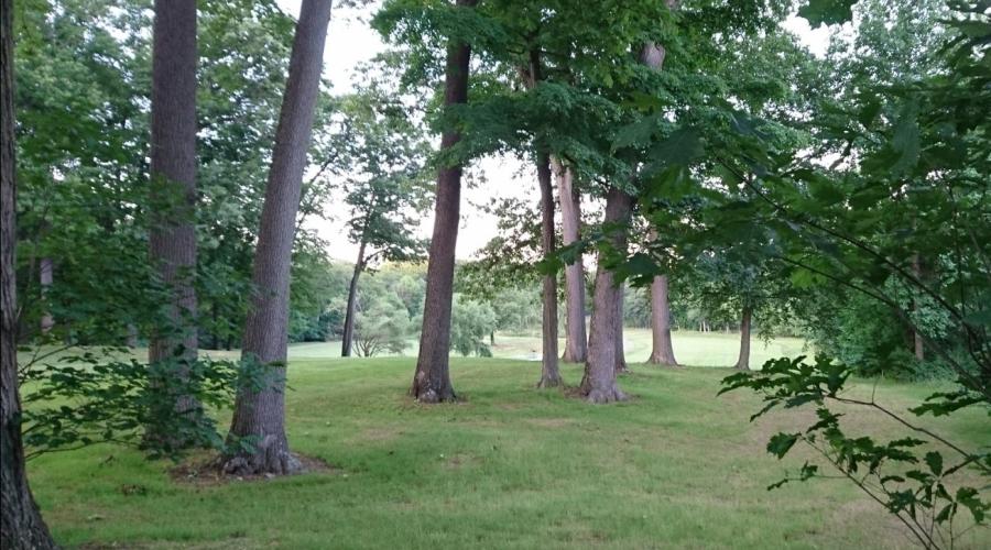 By the golf course