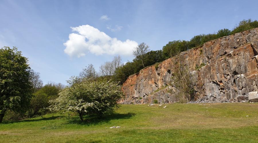 Grass bank with some shrubbery and an old quarry face within Black Rock nature reserve