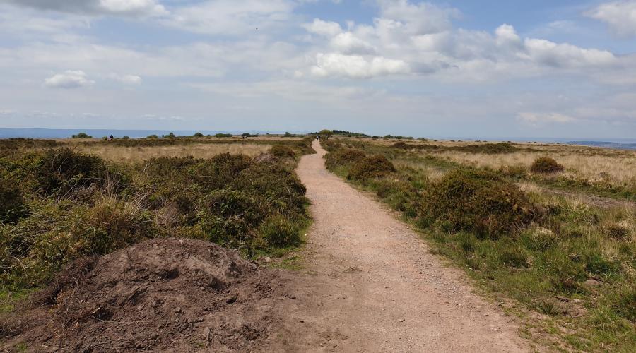 View along Black Down between Beacon Batch and Rowberrow (in the distance)