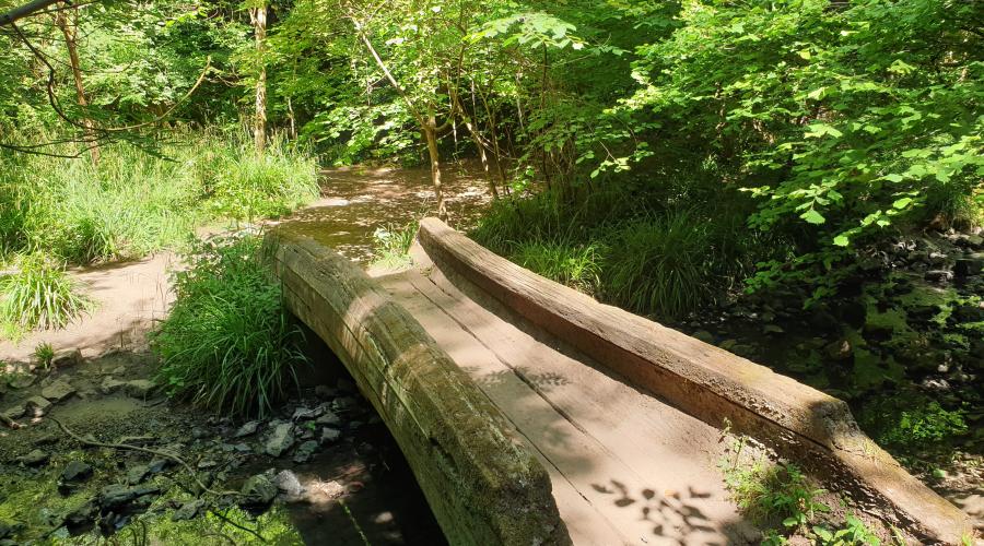 Ancient wooden oak brisge surrounded by trees