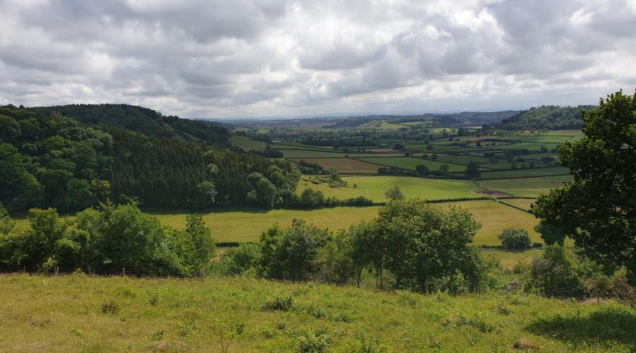 View from Hatch Hill looking South towards Dundon Hill and Somerton