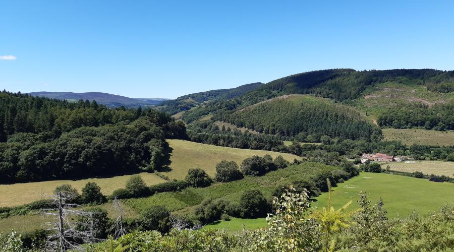 The countryside around Minehead