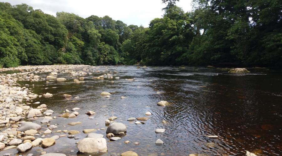 Looking towards Cotherstone Crag River Tees view