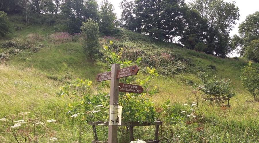 Footpath sign above the River Tees 