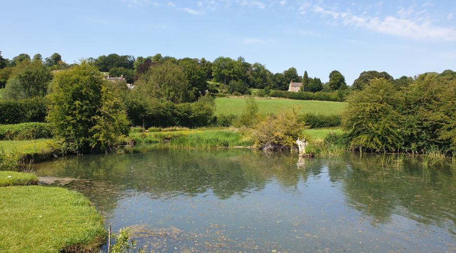 Large pond taken at Ford
