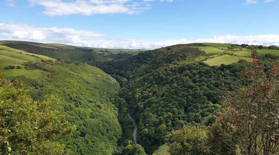 View over Exmoor looking out towards Watersmeet in valley below