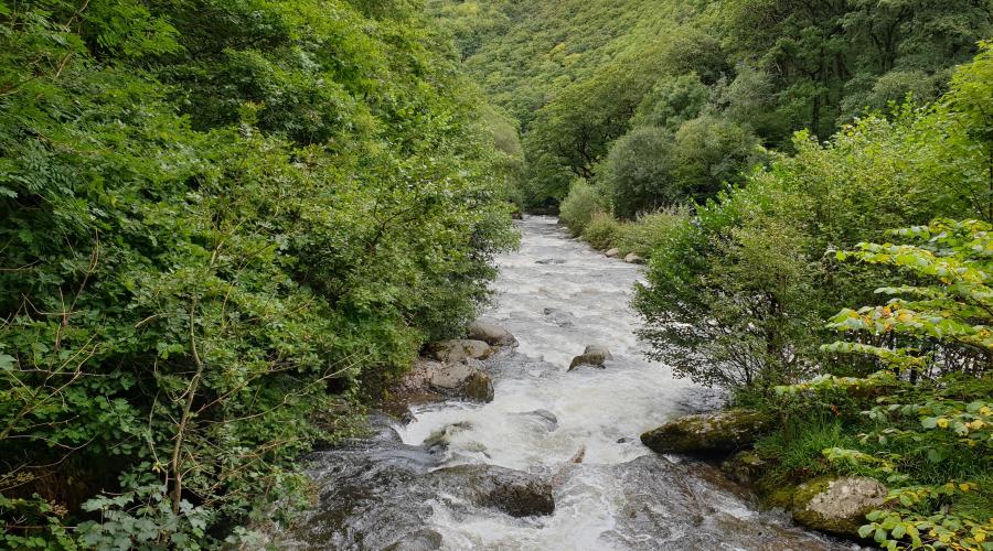 Watersmeet (Hoar Oak Water)