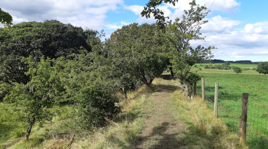 Railway path