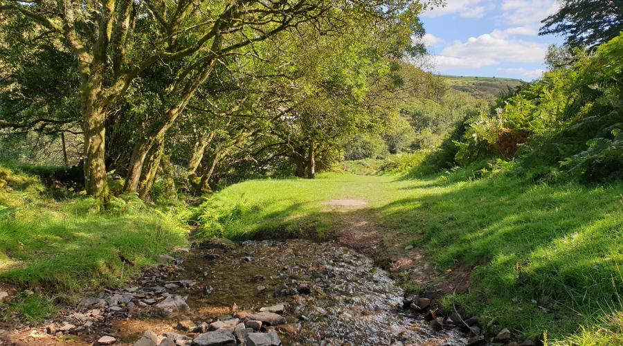 Stream running down towards the valley