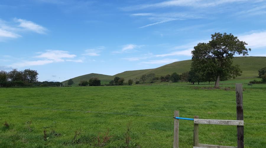 a view of weaver hills