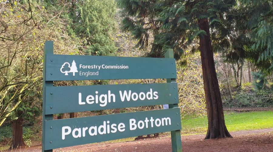 Leigh Woods Paradise Bottom