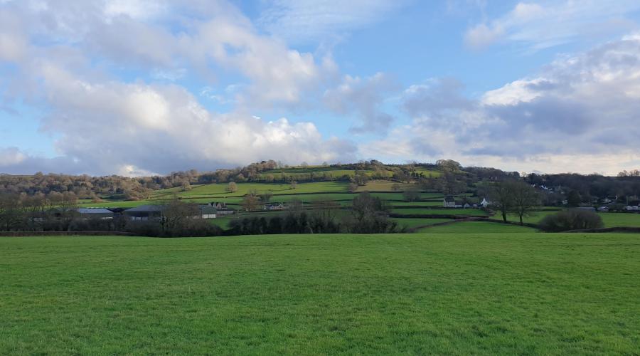 Hopton Camp Hill Fort from the fields below