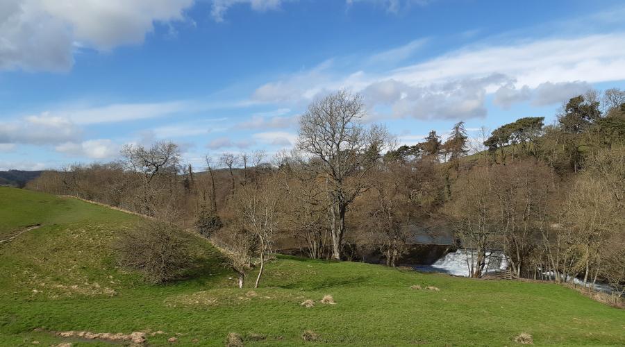 Weir near Ashford in the Water