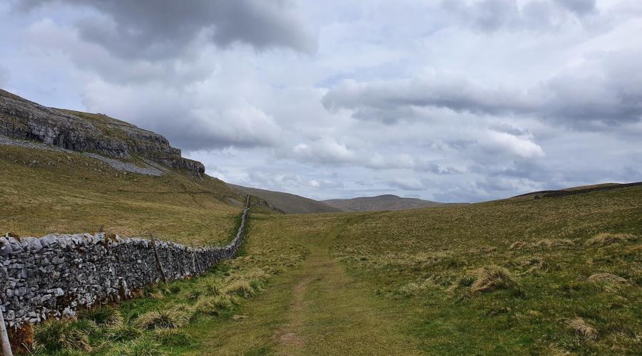 Drystone wall and limestone scar