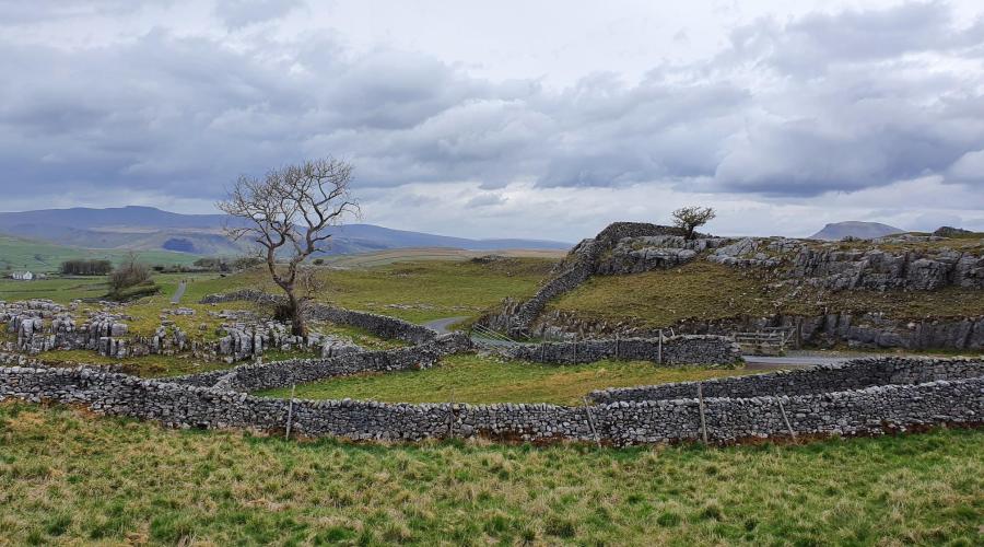 Walled enclosures in Yorkshire with stormy sky