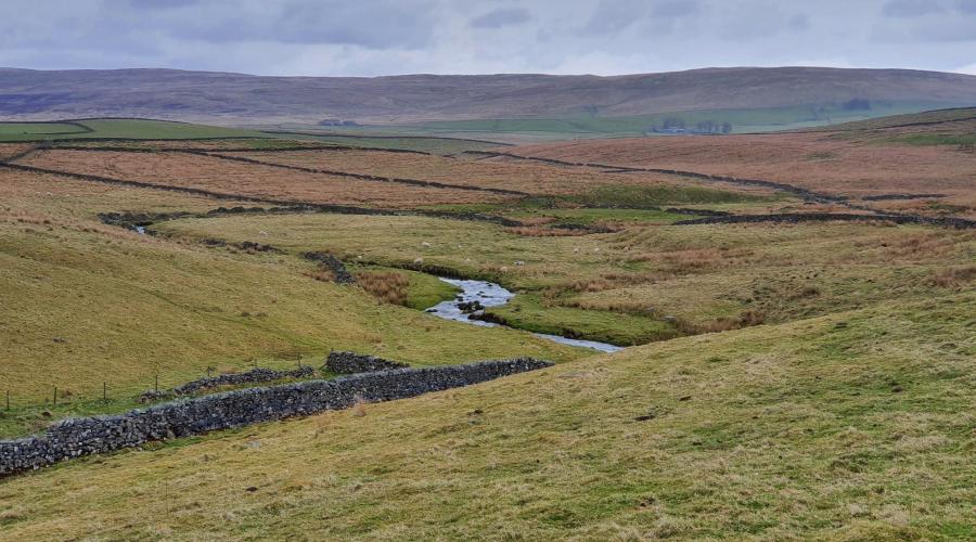 Remote upland scene in Yorkshire Dales
