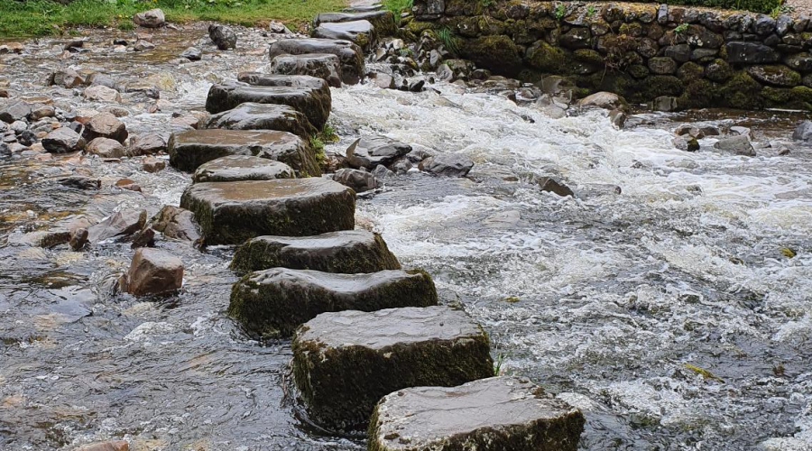 stepping stones