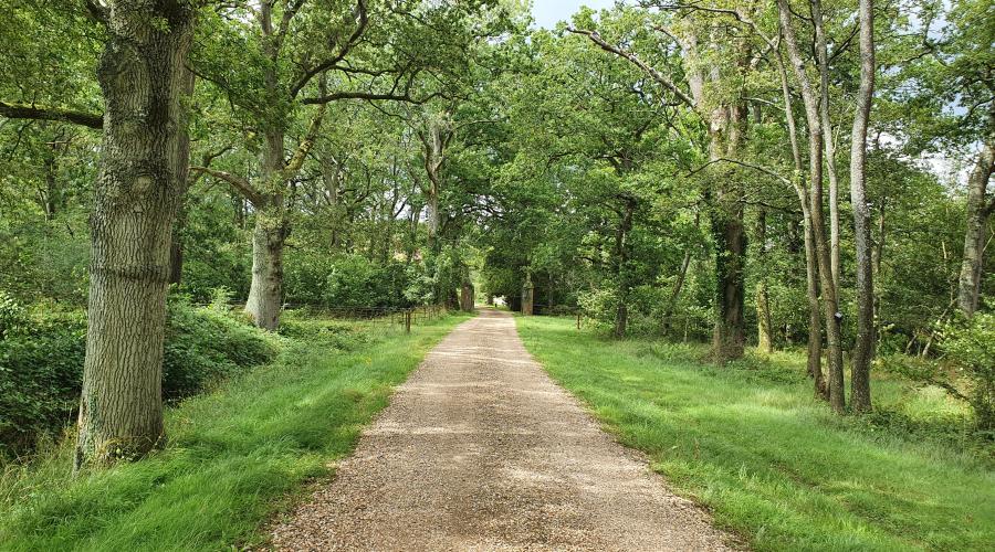 Path towards Wyeford Farm, Tadley, Basingstoke