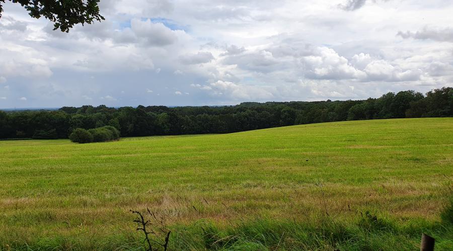 Landscape from Ron Ward's Meadow, Tadley, near Basingstoke