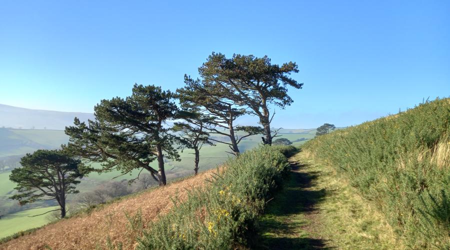 Views over Exmoor