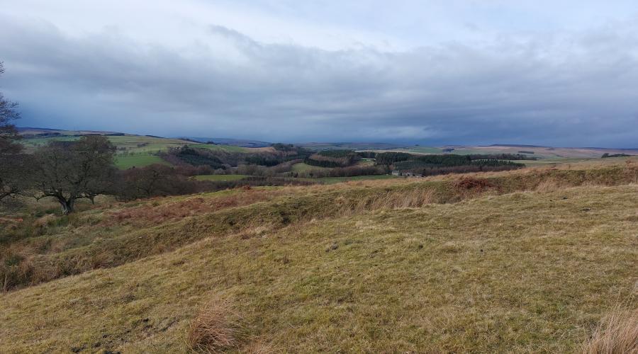 Landscape near Birtley Northumberland
