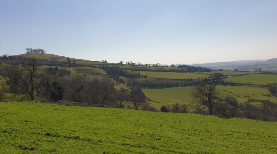 Picture of Kelston Round Hill from North Stoke