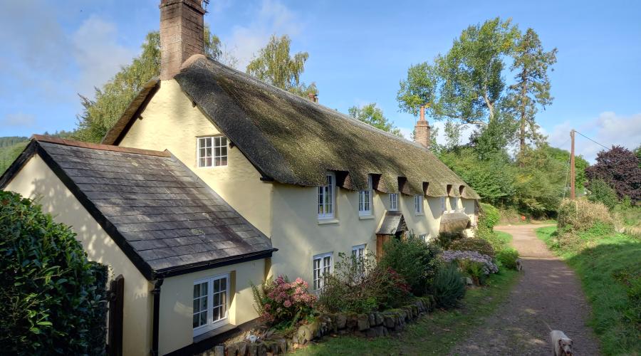 A cottage near Minehead