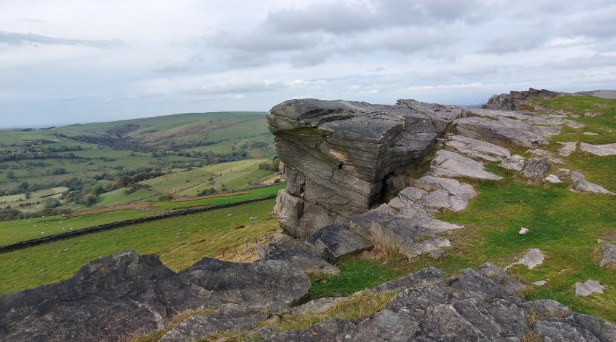 Taxal Edge