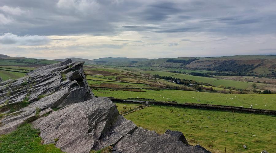 Taxal Edge