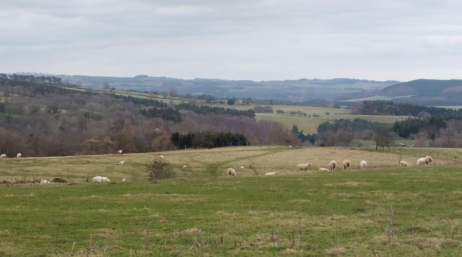 A wide view over the Northumberland countryside