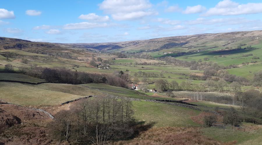 View North East from western leg of the dismantled railway (Credit: Lee Moorhead)