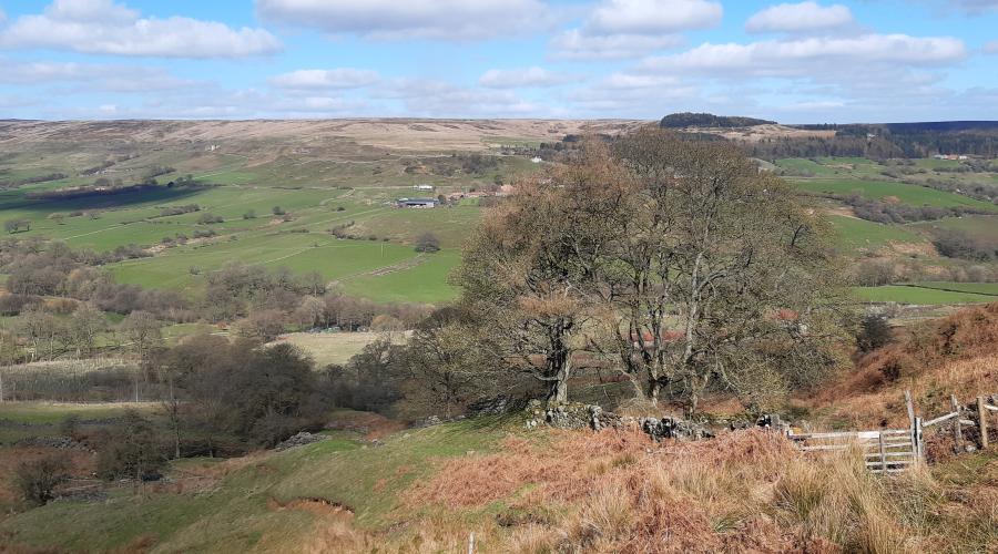 View East from western leg of the dismantled railway (Credit: Lee Moorhead)