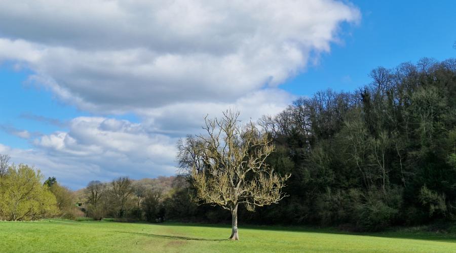 meadow just past Freshford