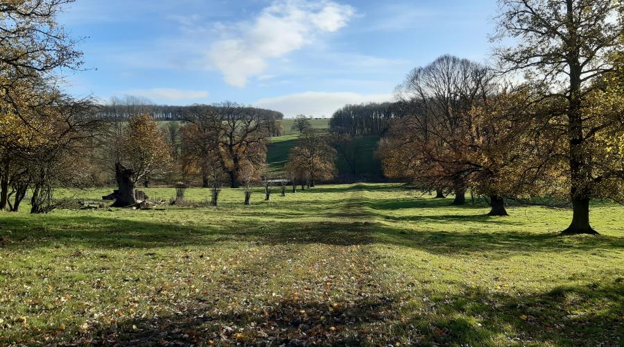 Market WeightonLondesborough Park, East Yorkshire OutdoorLads