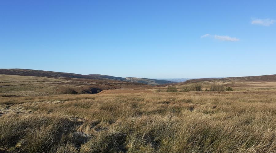 Moorland above the Goyt Valley