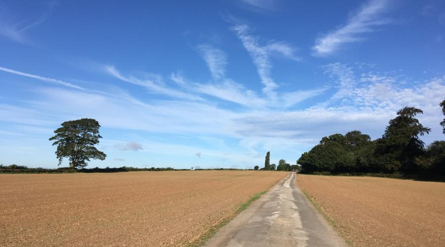 Blue Skies leading the way home