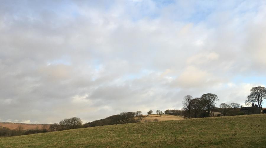 Rolling countryside