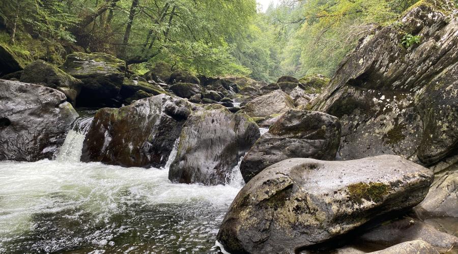 Rocky stream